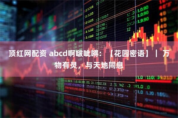 顶红网配资 abcd啊啵呲嘚：【花园密语】｜ 万物有灵，与天地同息
