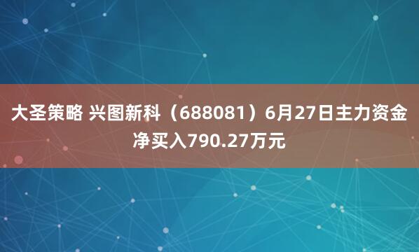 大圣策略 兴图新科（688081）6月27日主力资金净买入790.27万元